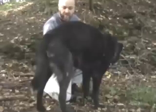 Bald-headed defy wants to be wild about a sexy doggo